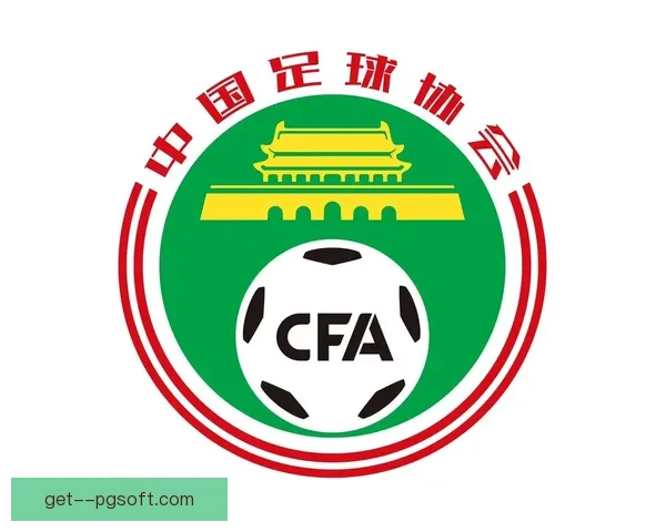中国足球启动史上最严格职业联赛准入审核加强规范化管理提升联赛竞争力