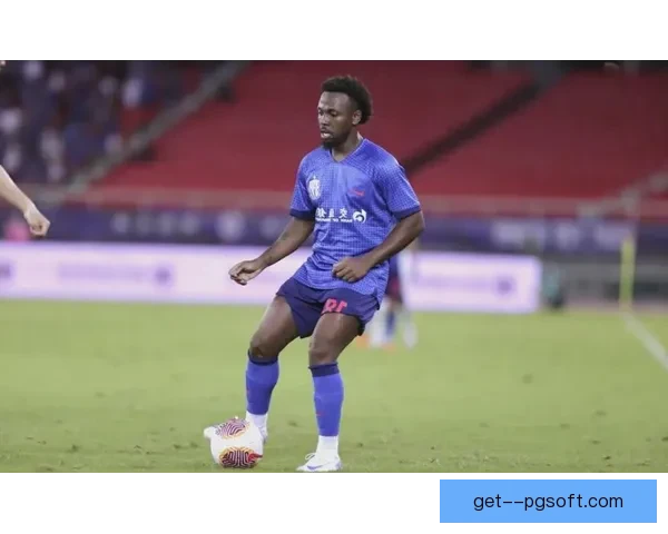 费南多加盟上海申花引发关注 足球转会市场再掀波澜